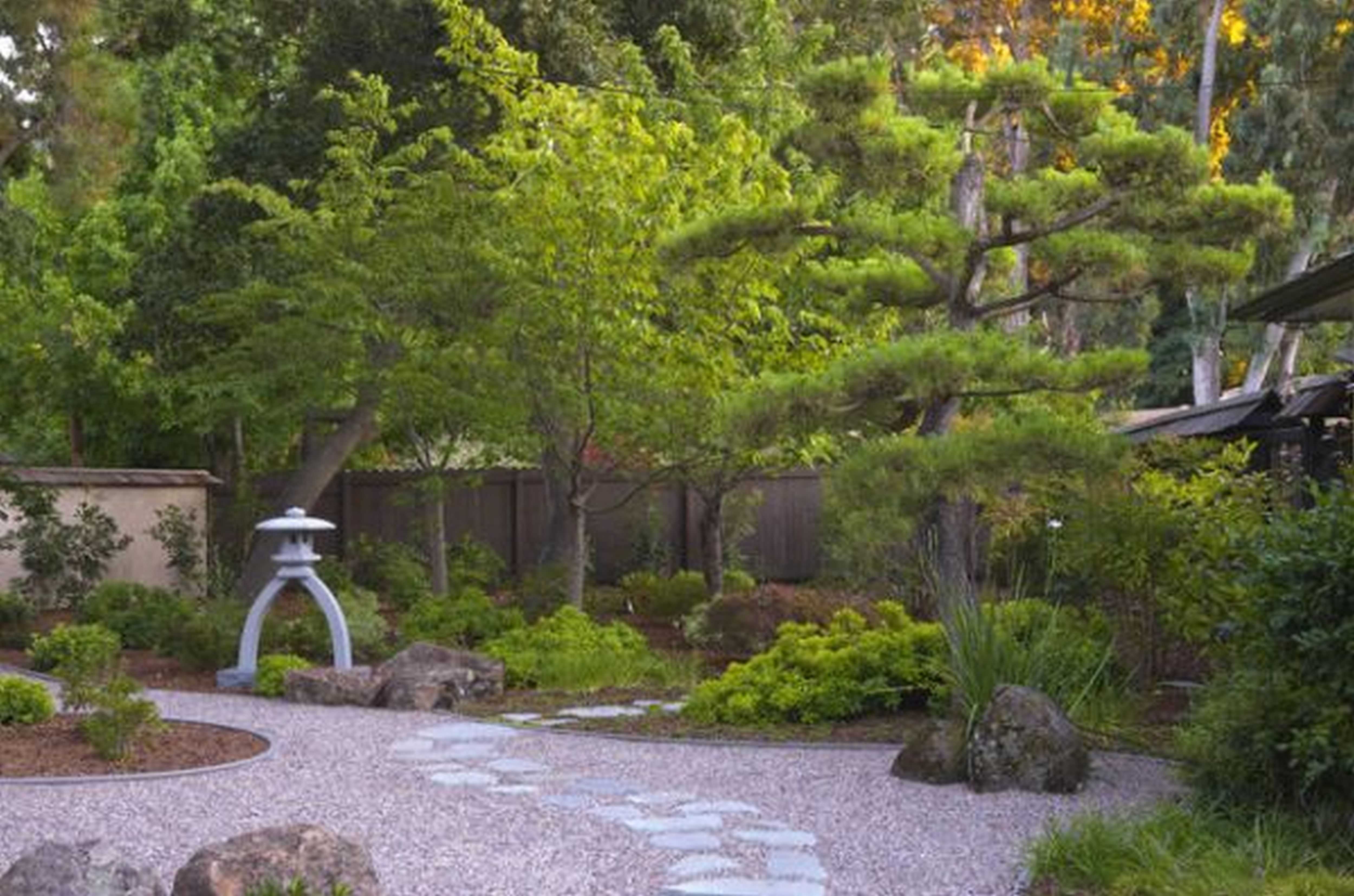 Сад в японском стиле в европейском саду
