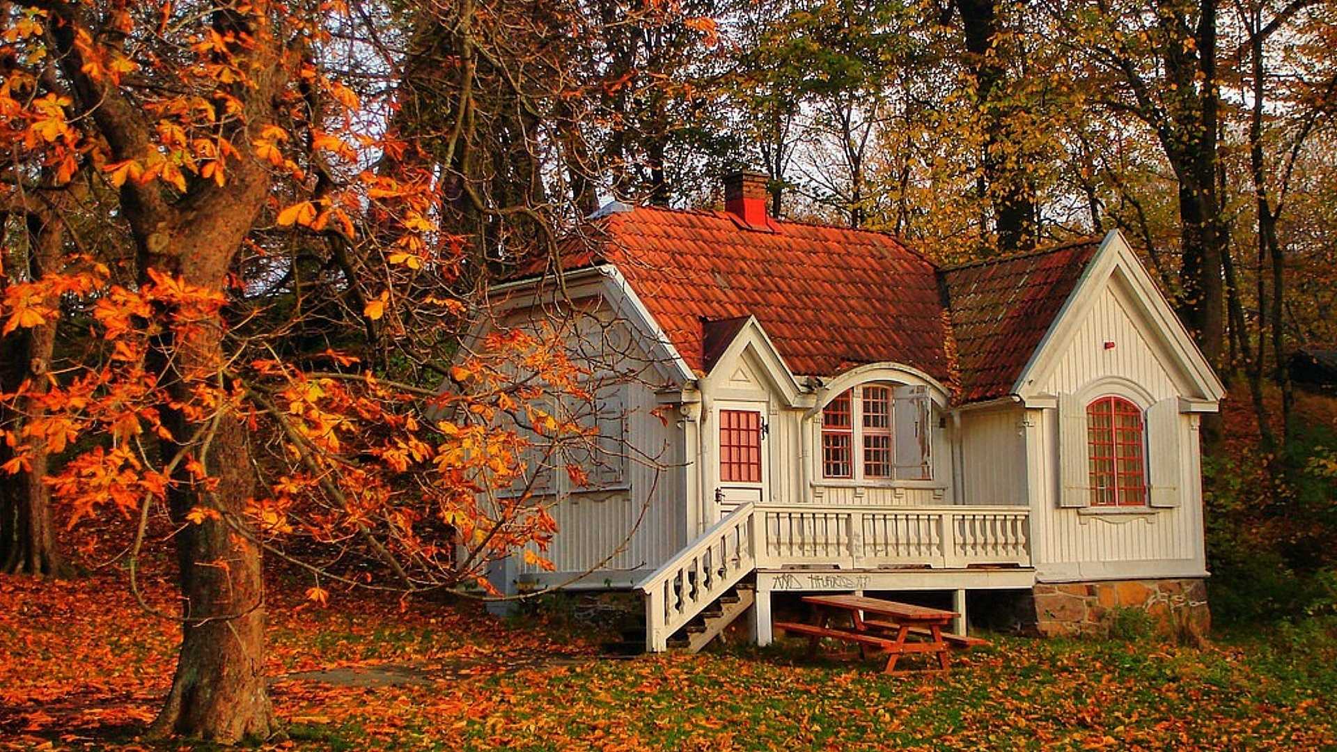 Уютные компактные домики в разных стилях, идеально подходящие для осеннего уикенда