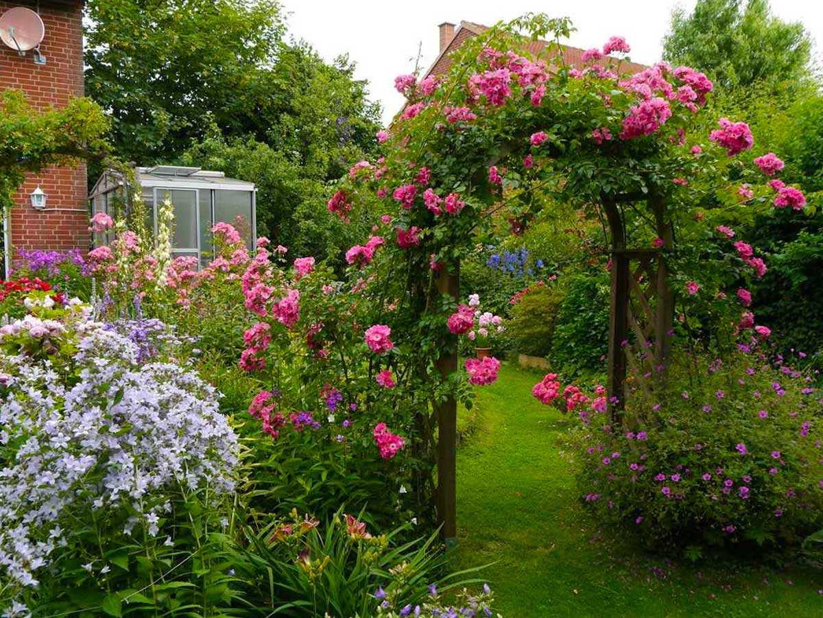 Вьющиеся садовые цветы: плетущиеся растения, названия и фото