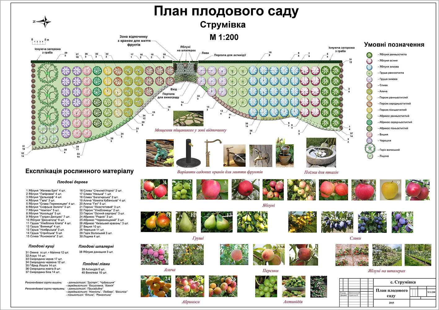 План огорода: планирование грядок, их описание и схема