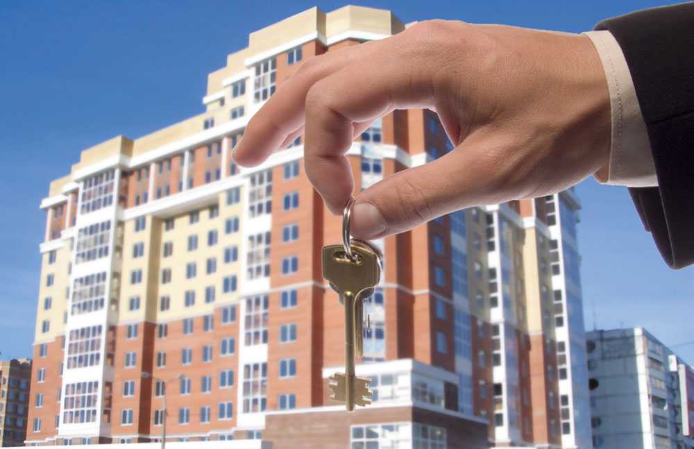 5 интересных фактов для тех, кто покупает квартиру