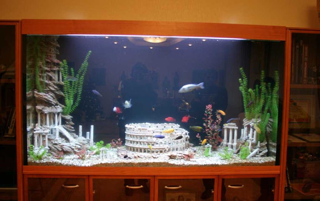 Оформление аквариума: 100 фото красивых примеров