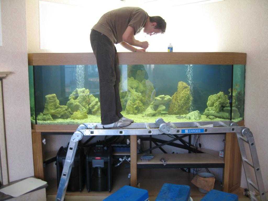 Как чистить аквариум правильно – инструкция для начинающих